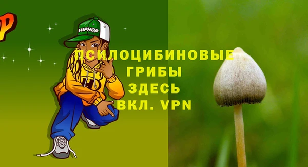 a pvp Арсеньев