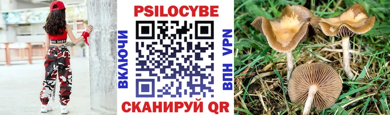 Псилоцибиновые грибы GOLDEN TEACHER  как найти   Бугульма 